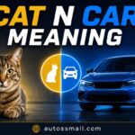 cat n car meaning