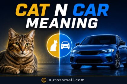 cat n car meaning