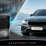 Car Dehumidifier