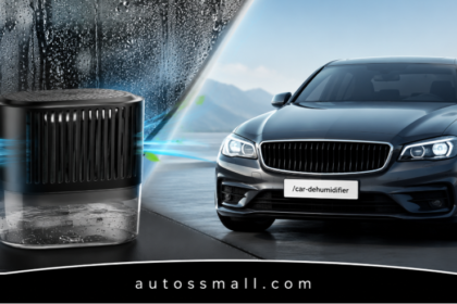 Car Dehumidifier