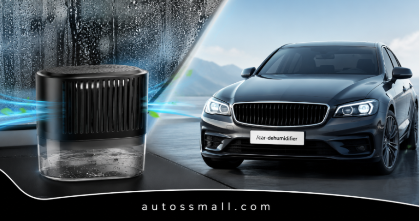 Car Dehumidifier