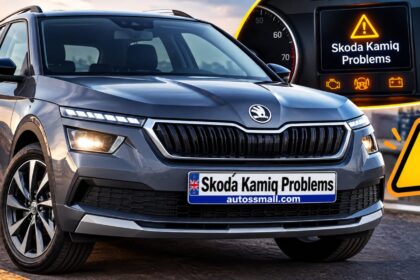 Skoda Kamiq Problems