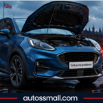 Ford Puma Problems