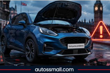 Ford Puma Problems
